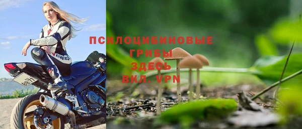 гидропоника Армянск