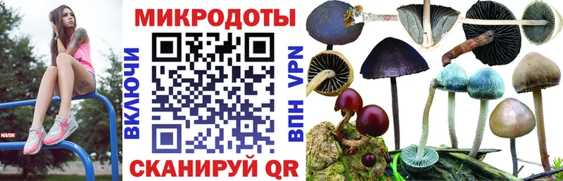 Галлюциногенные грибы мухоморы  что такое   Кубинка 