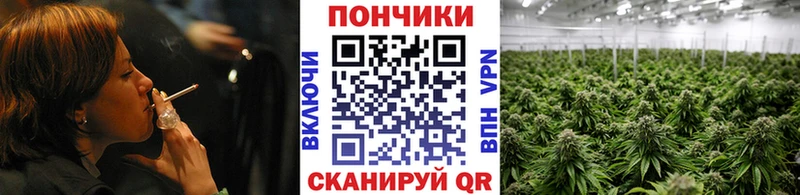 Бошки марихуана SATIVA & INDICA  Кубинка 